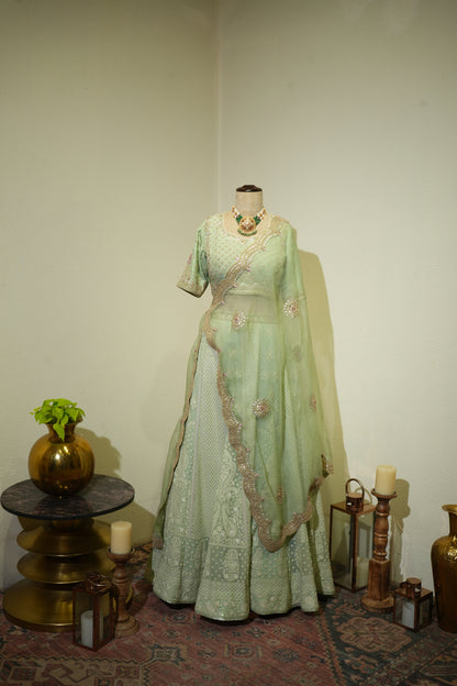 Pista Green Chikankari Lehenga